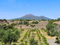 Pompeii