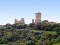 Velia